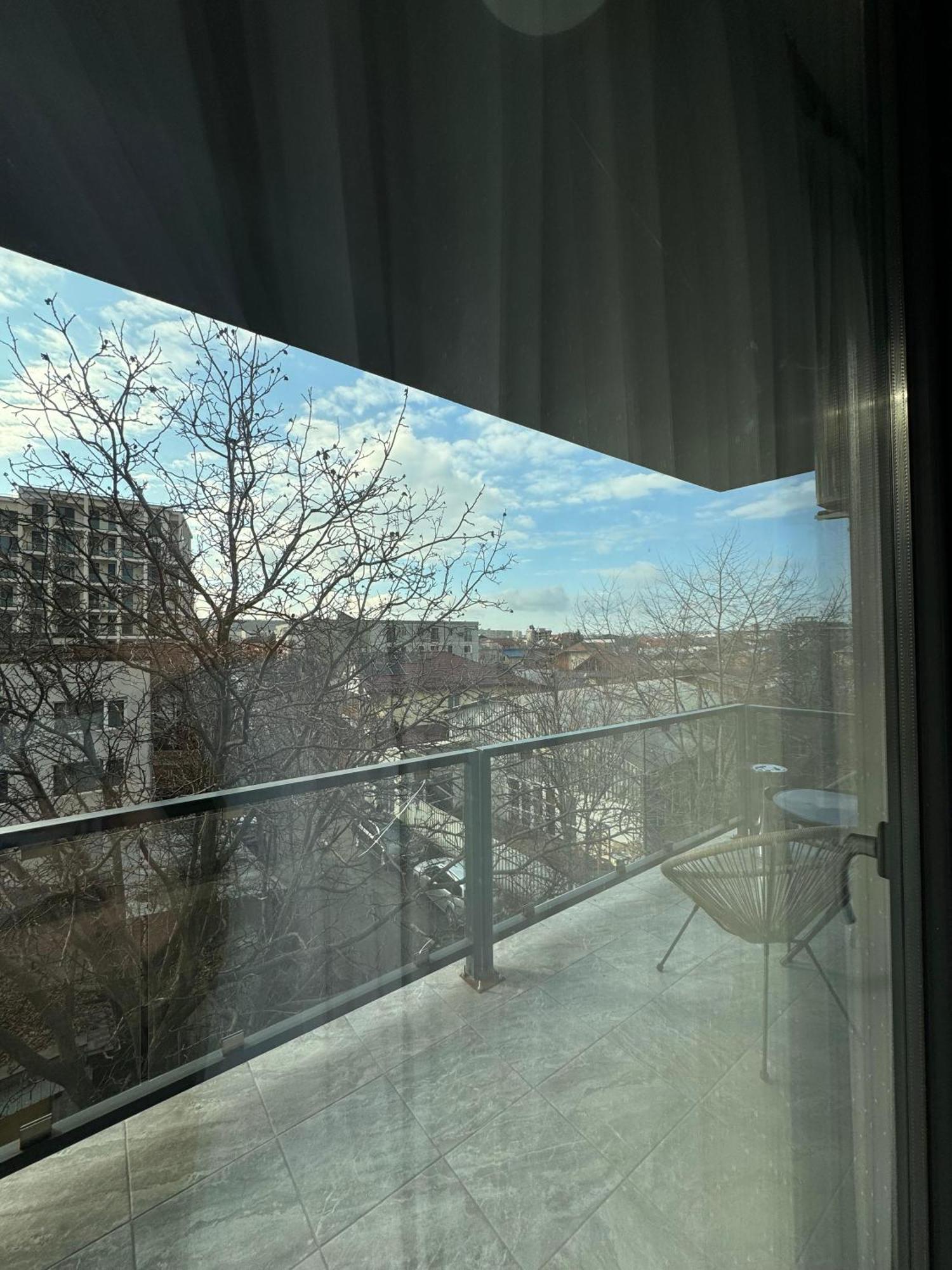 Hotel Palas Grand View 雅西 外观 照片