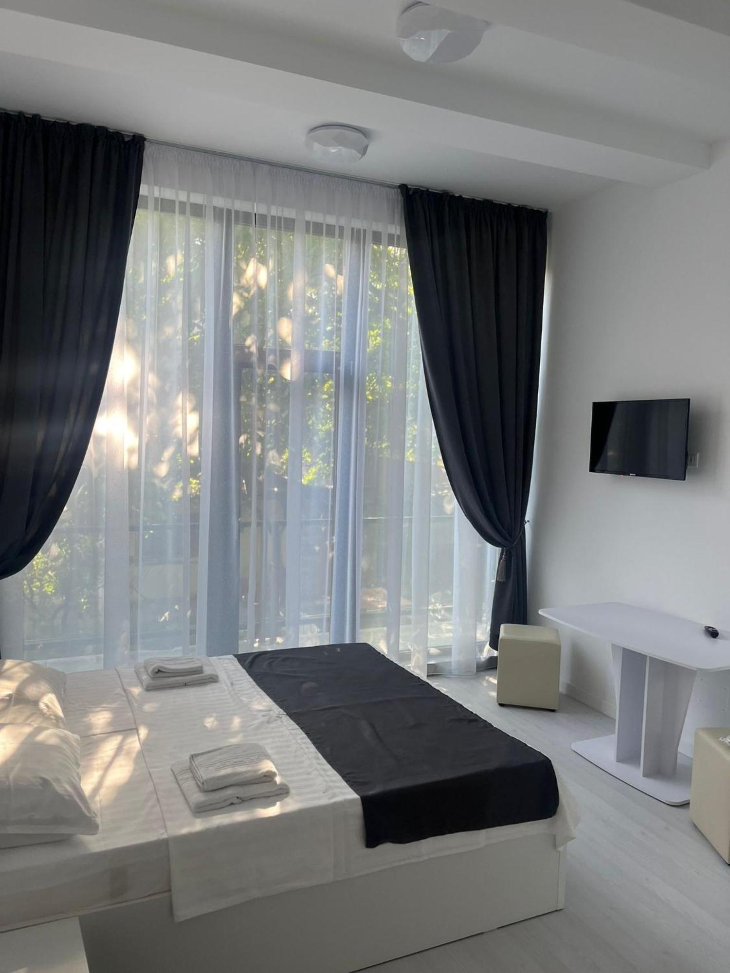 Hotel Palas Grand View 雅西 外观 照片